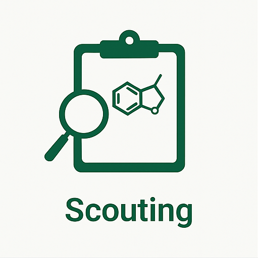 Scouting
